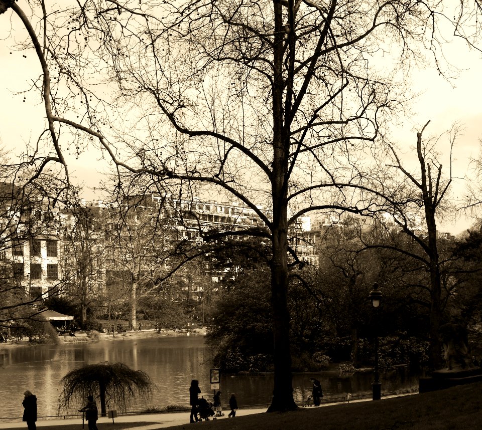 Promenade le long du lac au Parc Montsouris