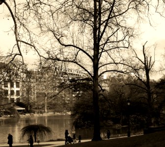 Promenade le long du lac au Parc Montsouris