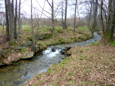 Przecznicki Potok