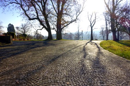 Rosensteinpark - Stuttgart, Germany - DSC01669