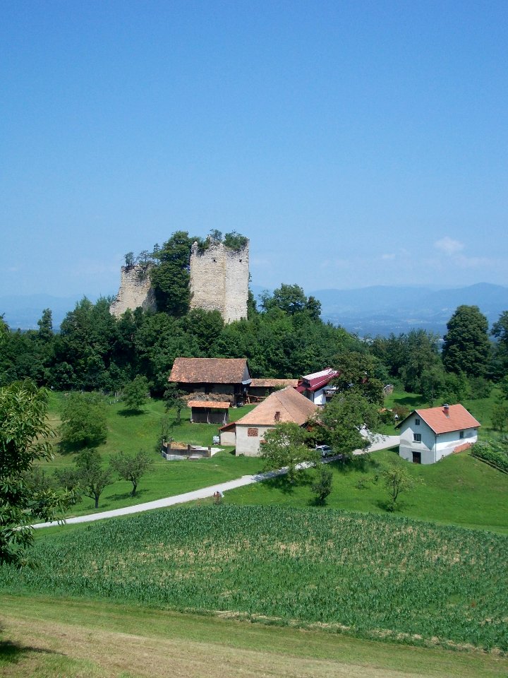 Rifnik Archeological Site 02