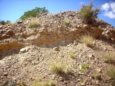 Ritito Conglomerate photo