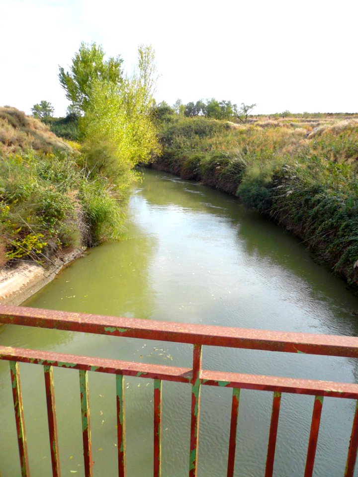 Rincón de Soto - Canal de Lodosa 3
