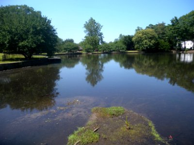 Roslyn millpond from race jeh
