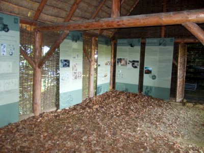 Rifnik Archeological Site 23