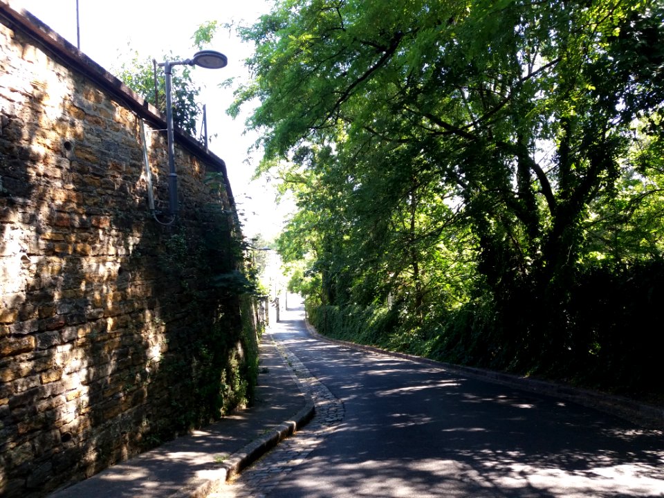 Rue du Bas de Loyasse - En descendant vers rue Pierre Audry