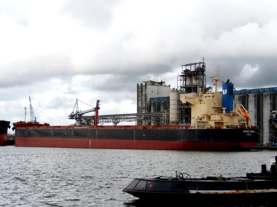 Rising Wind (ship, 2014) IMO 9582984, Port of Amsterdam