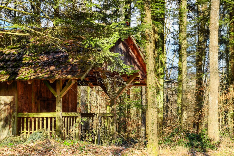 Cozy hut wood photo