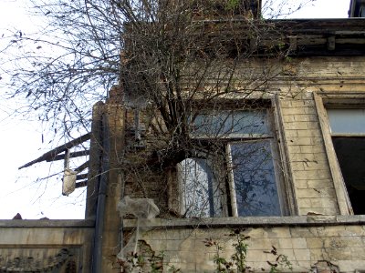 Rue des Sables, Bruxelles photo 5