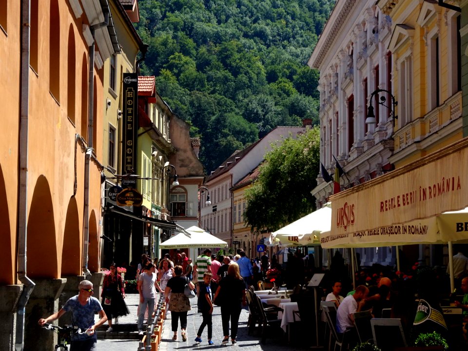 RO BV Str. Hirscher (1)
