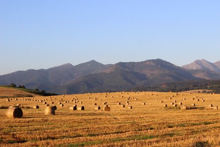 Slovakia ssas straw agriculture