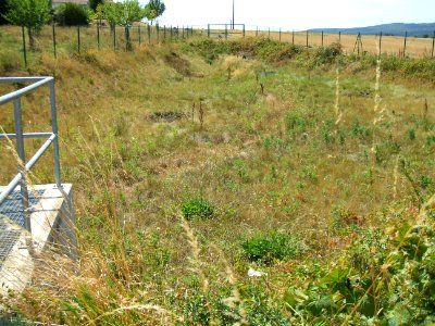 Riedgraben Abwassersammelbecken von B 3