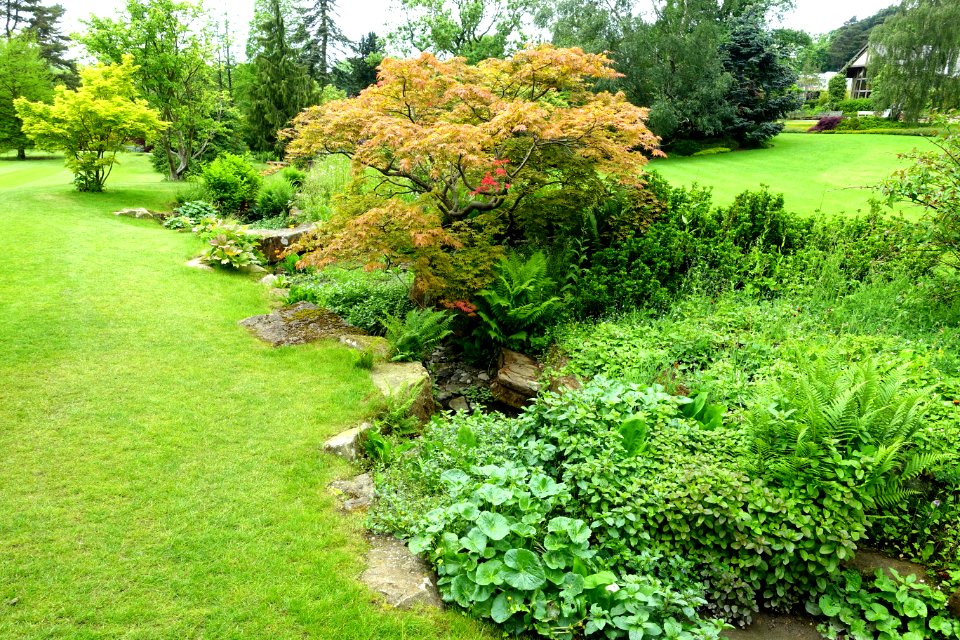 RHS Garden Harlow Carr - North Yorkshire, England - DSC01107