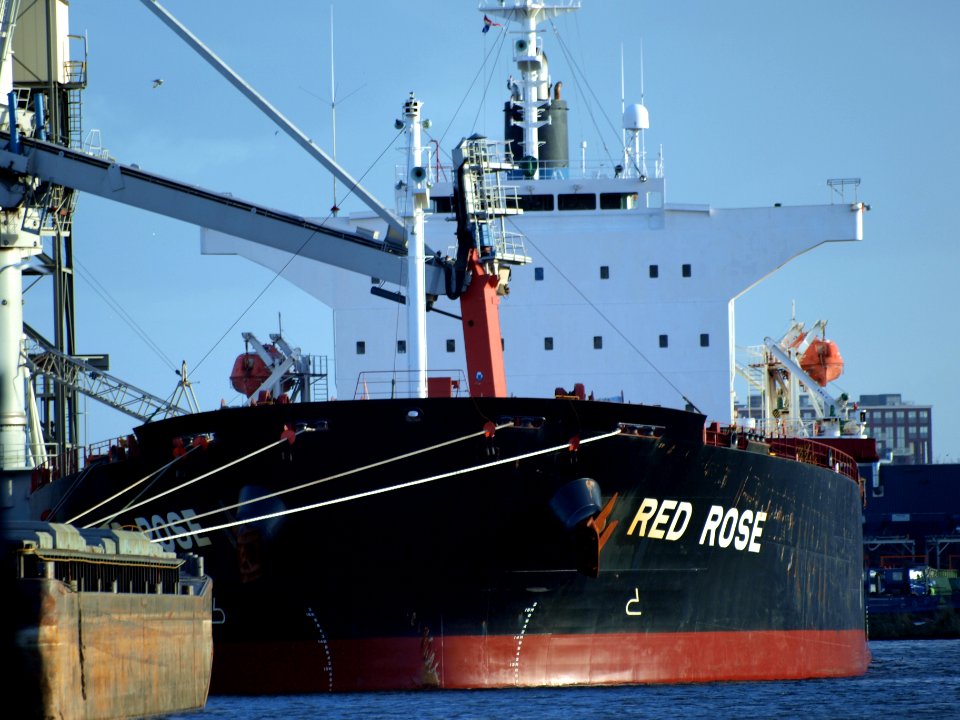 RED ROSE - IMO 9267613 - Callsign HOSP, photo-1