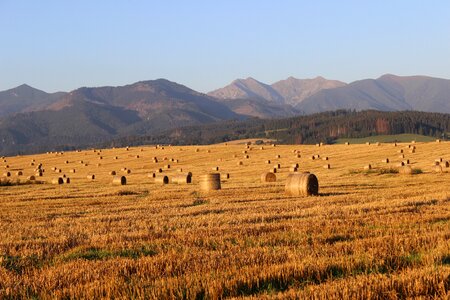 Slovakia ssas straw agriculture