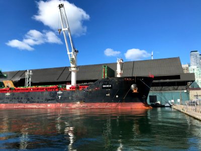 REDHEAD - IMO 9285940 Toronto 01