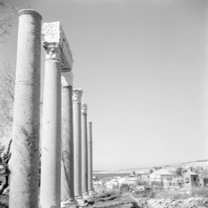 Romeinse zuilengalerij te Tyrus nabij Byblos, Bestanddeelnr 255-6380