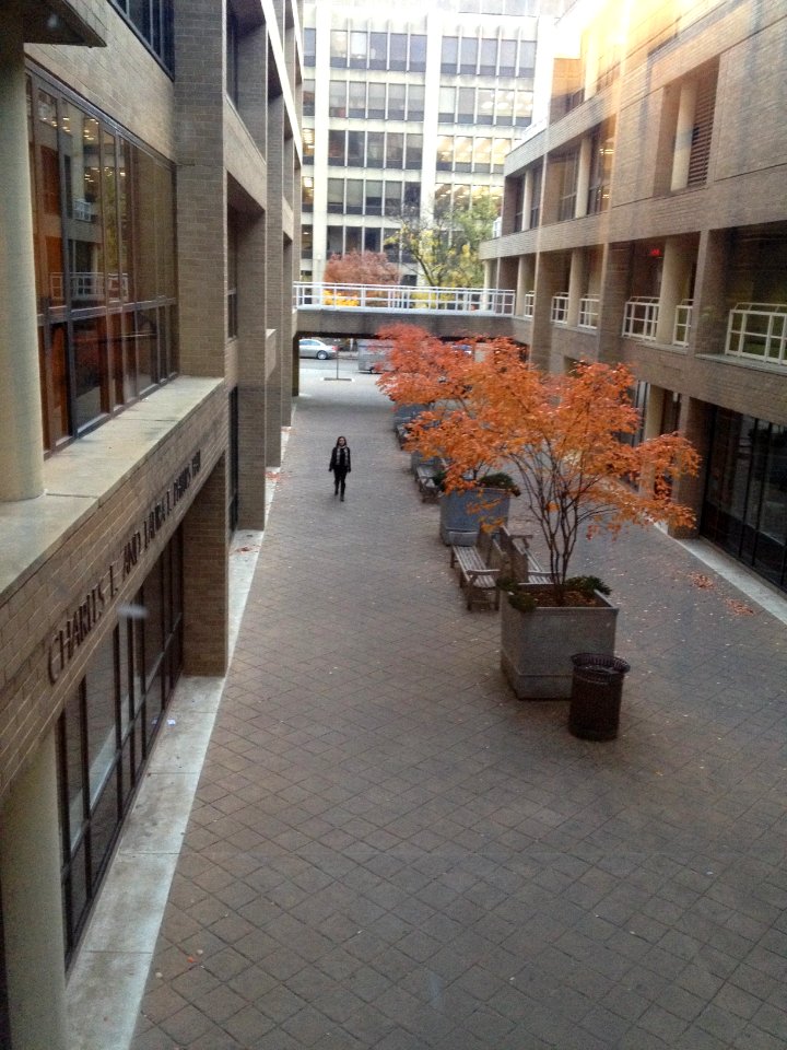 RomeHallPath