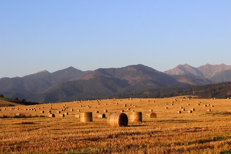 Slovakia ssas straw agriculture