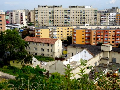 ROBrasovBlumana3