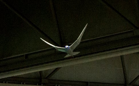 RoboCup 2016 Leipzig - Festo SmartBird