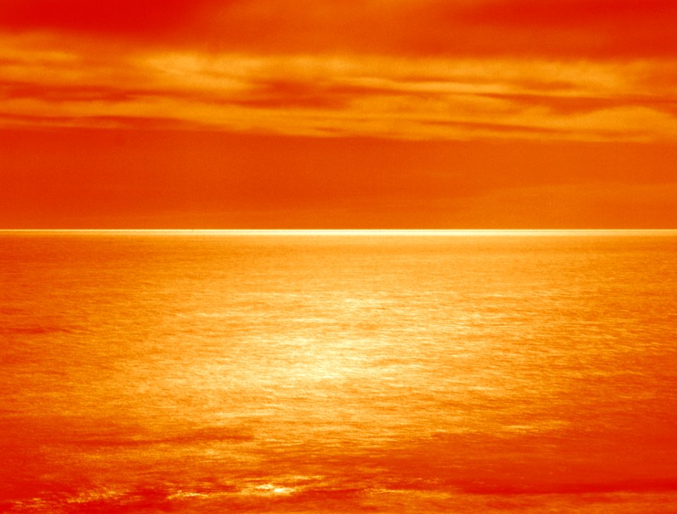 Mm00a 1405 Burnt (73499207)