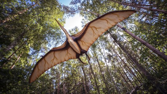 Prehistoric times replica dino
