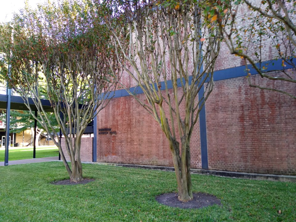 Robertson Science Hall St Thomas