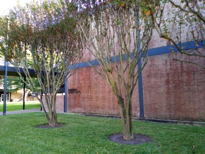 Robertson Science Hall St Thomas
