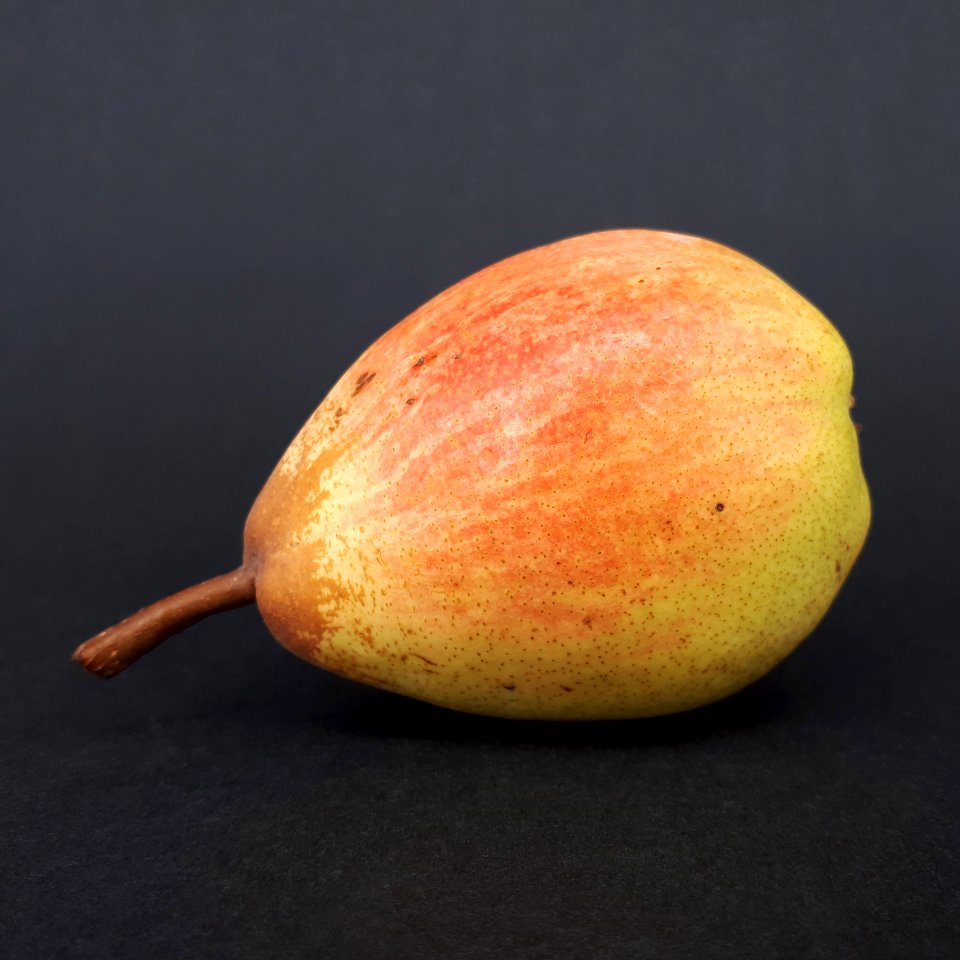 Rocha Pear 2017 AF