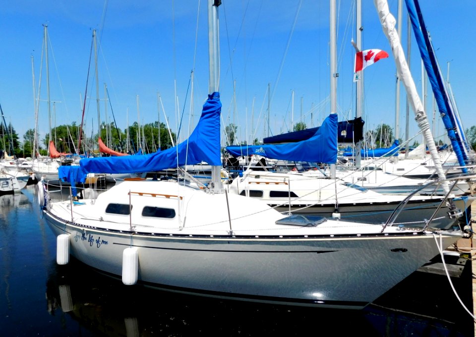 Mirage 26 sailboat For the Life of Me 4528