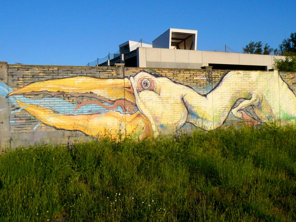 Miranda de Ebro - Camino de Anduva 08