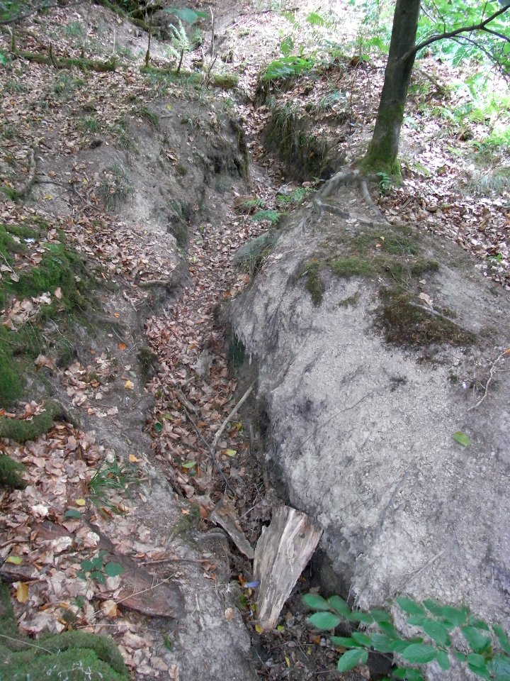 Michelbach Zufluss Schleichebach Rinne ober vierter Weg R0019859