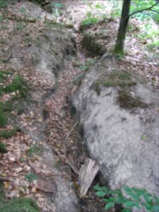 Michelbach Zufluss Schleichebach Rinne ober vierter Weg R0019859