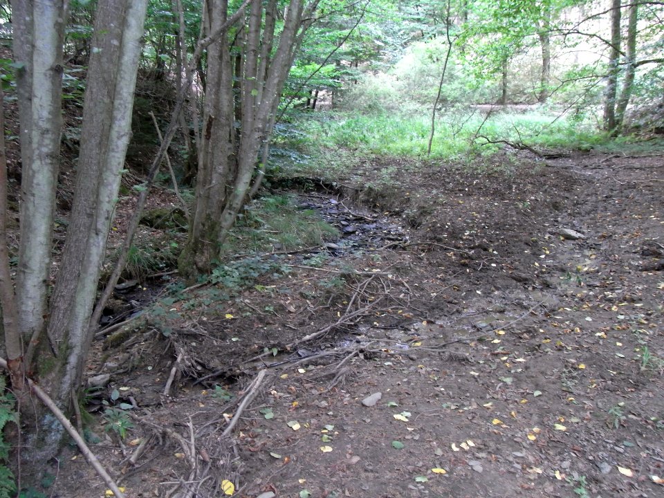 Michelbach 24848292 bei Tümpeln R0019244