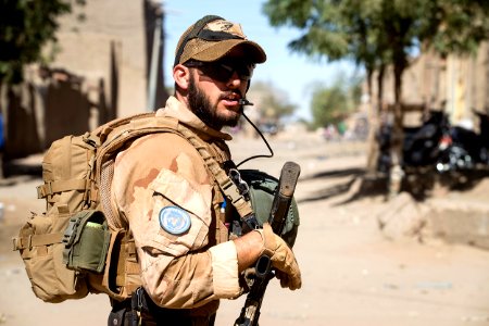 MINUSMA Task Group Desert Falcon-10