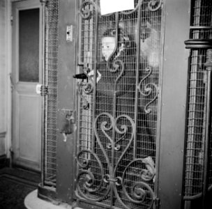 Meisje staand in de lift, Bestanddeelnr 252-9347