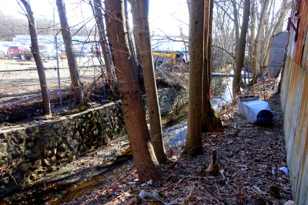 Mill Brook - Arlington, MA - DSC09047
