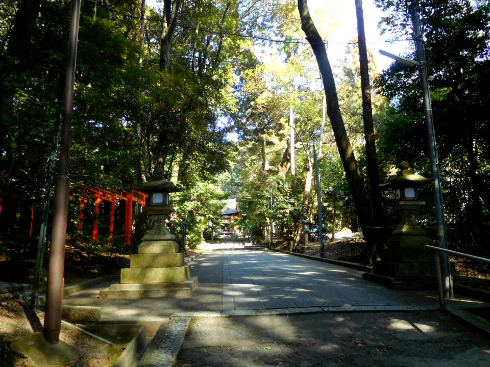 Mito-Jinja DSCN2532
