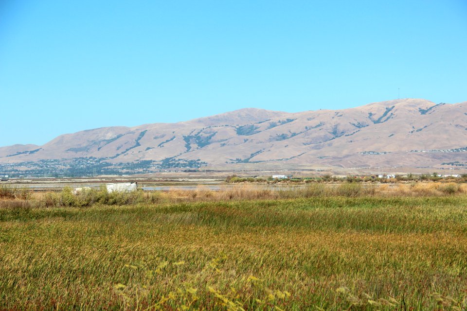 Mission Peak from Alviso Marina County Park, Aug 2019