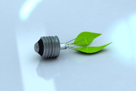 Focus 3d ecology