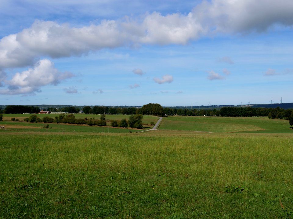 Meadow near Strauch 03