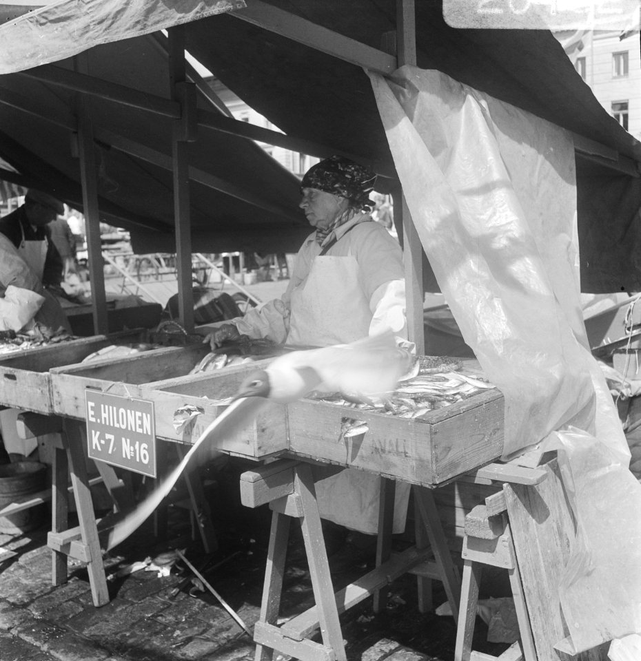 Meeuw op de markt in Helsinki, Bestanddeelnr 920-4627