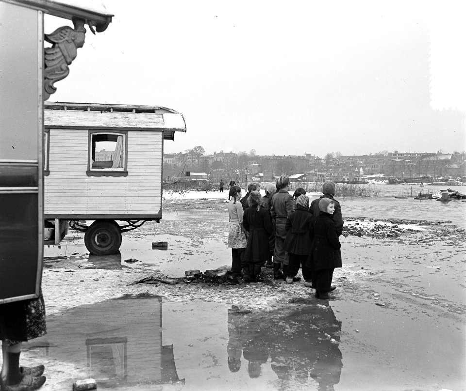 Meijnerswijkpolder bij Arnhem onder water (Rijn), Bestanddeelnr 906-9524