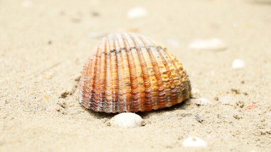 Beach sand sea