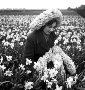 Meisje met narcissenhoed, Bestanddeelnr 904-5285