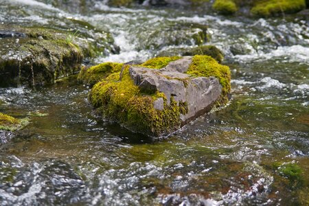 Mountains nature flowing photo