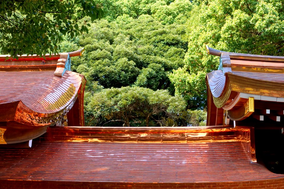 Meiji Shrine - Tokyo, Japan - DSC05466
