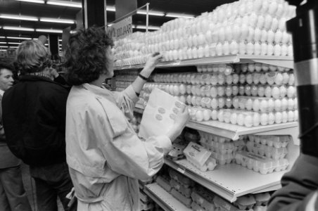 Milieuorganisaties luiden campagne in ter afschaffing van de legbatterijen acti, Bestanddeelnr 933-9413