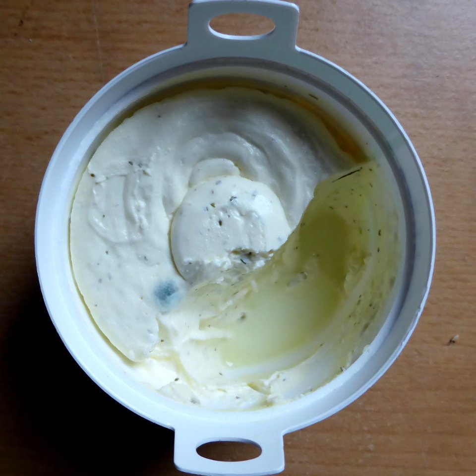 Mold-in-cream-cheese